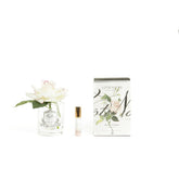 Cote Noire Single Rose Pink Blush